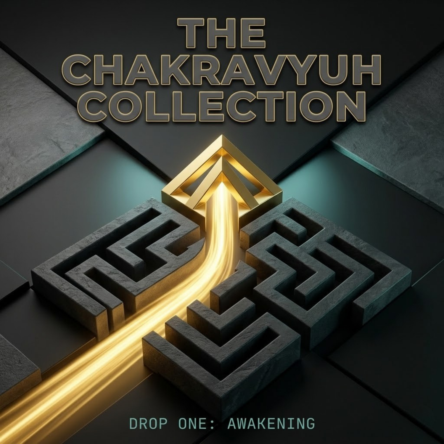 The Chakravyuh